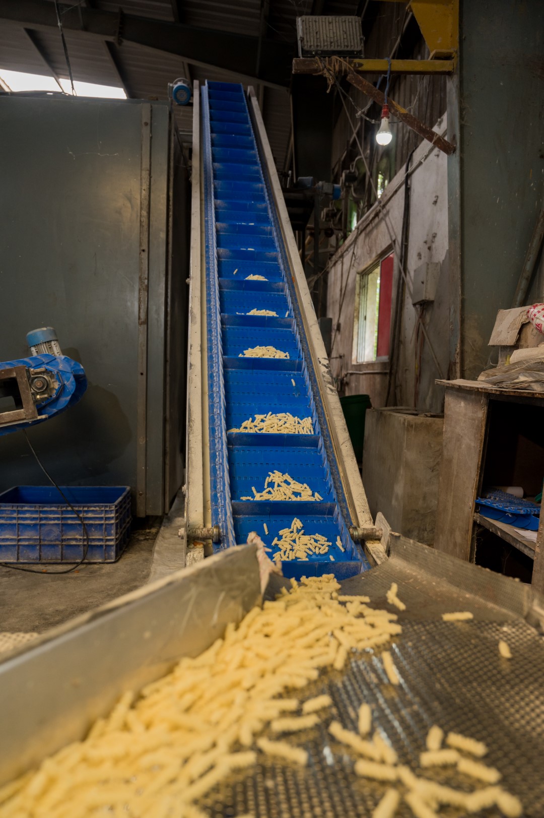 Skynik pasta production