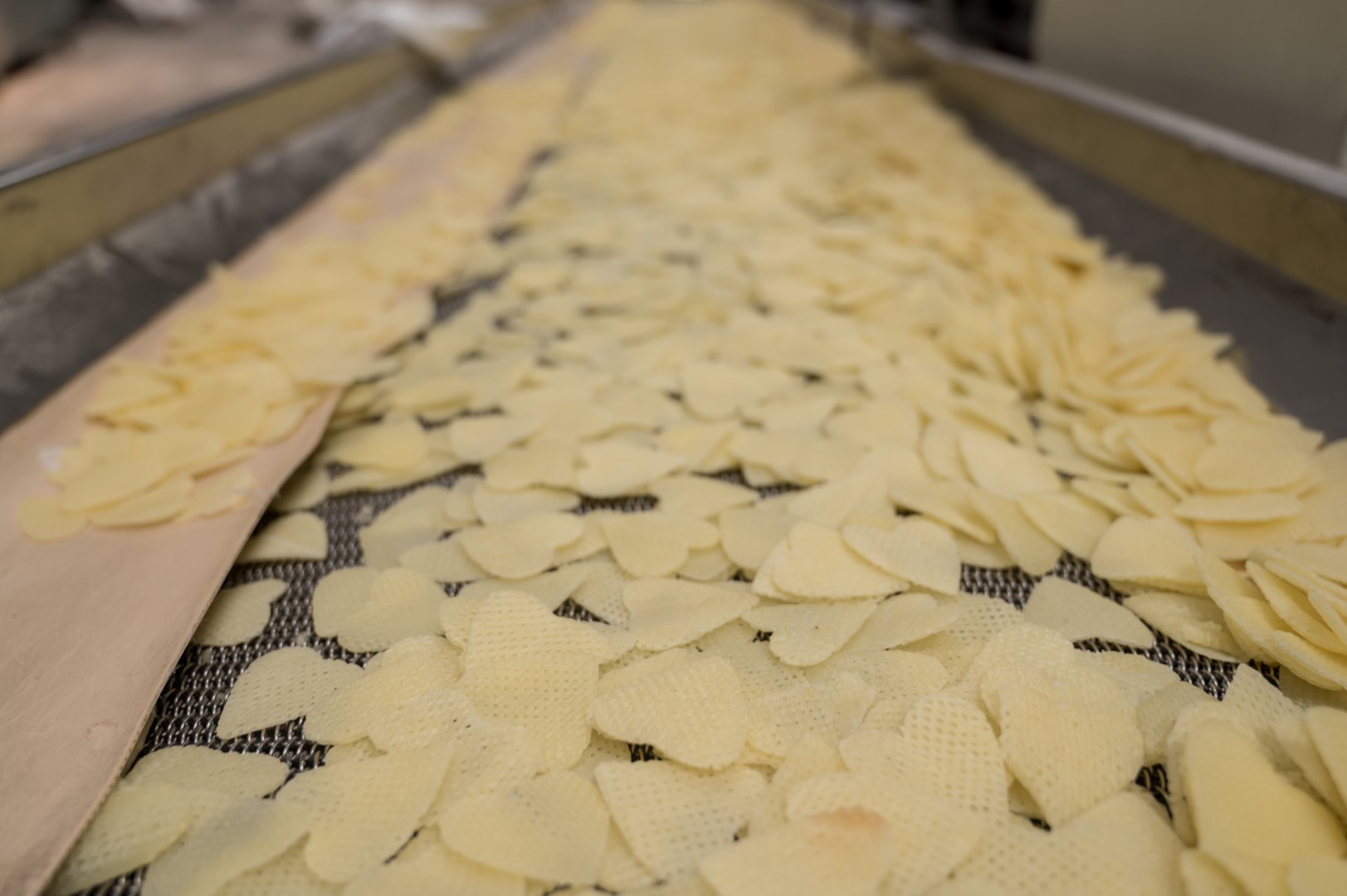 Skynik factory 2